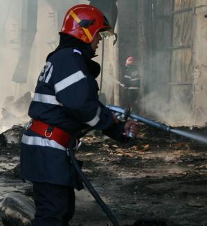 Incendiu uriaş la Nutrientul Palota: Pompierii au luptat nouă ore cu flăcările (VIDEO)